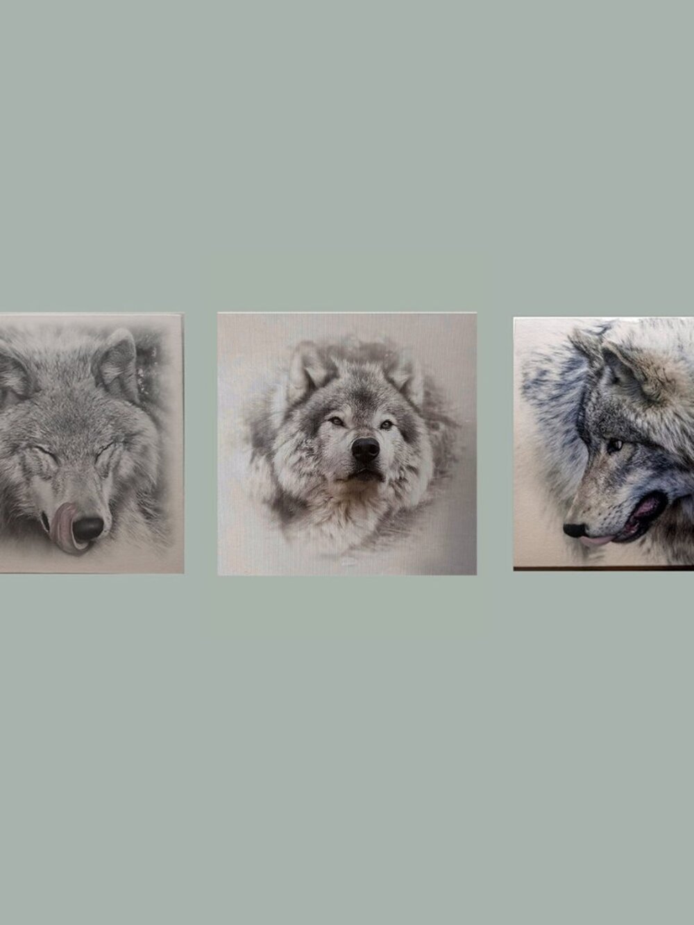 CANVAS photo on canvas 8" x 8" Wolf - Picture 3 of 4